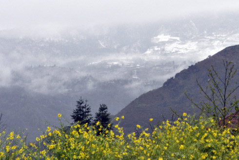 Tuyết phủ trắng bản làng và triền núi cao thuộc xã Sa Pả, cách trung tâm thị trấn du lịch chừng 5km.