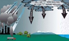 Mưa axit ở VN không thể đến từ nước Nhật