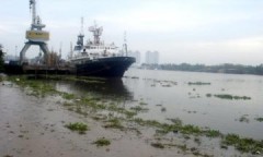 Nước sông Sài Gòn đang bị nhiễm mặn nặng