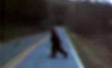 Xuất hiện quái vật Bigfoot ở Mỹ?