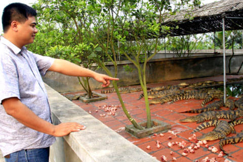 31 tuổi, Nguyễn Quang Hiển là chủ của hai trang trại cá sấu giá bạc tỷ. Ảnh: Tuệ Minh