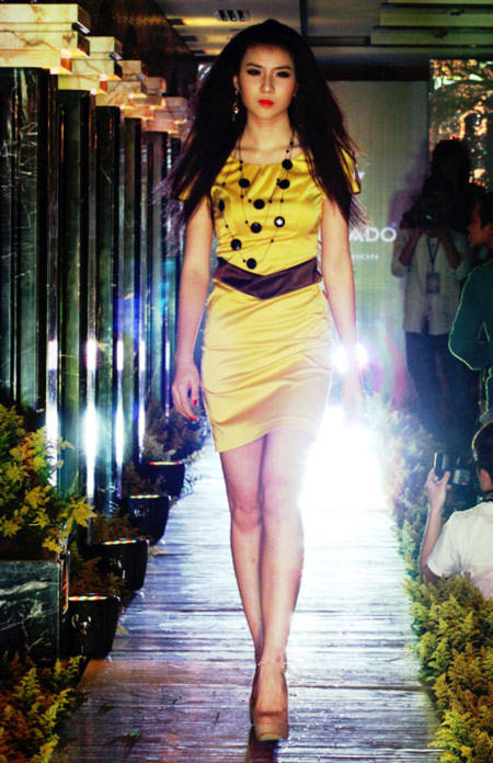 Hanoi Fashion week 2011