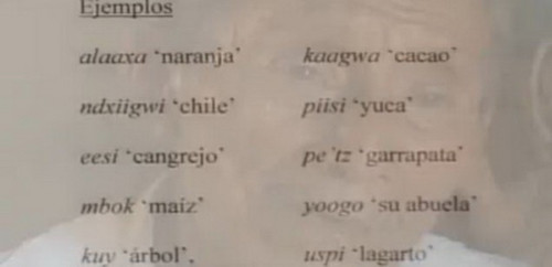 Ngôn ngữ chỉ có 2 người sử dụng, Phi thường - kỳ quặc, chuyen la,chuyen la co that,chuyen la the gioi,ngon ngu,ngon ngu chi co 2 nguoi su dung