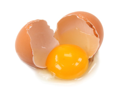 eggs-an01