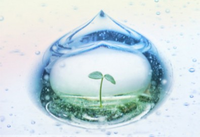 Thế giới khác trong một giọt nước: (Phần 1) Cuộc phỏng vấn với tiến sĩ Masaru Emoto