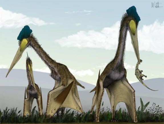 Bò sát Quetzalcoatlus là loài chuyên săn khủng long con để làm bữa trưa.