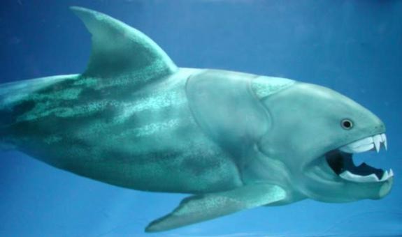Loài cá tiền sử Dunkleosteus terrelli có thể ăn thịt cá mập. Các nhà khoa học cho rằng loài cá này có thể là “vị vua đầu tiên của các quái vật”. Nó dài khoảng 10 m, và cân nặng lên đến 4 tấn, sống cách đây 400 triệu năm.