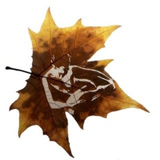 leaf-ar