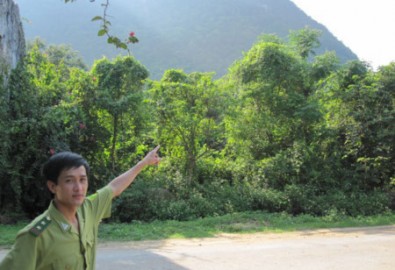 Kì bí rắn khổng lồ bảo vệ rừng Phong Nha - Kẻ Bàng