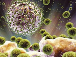 Mỹ điều chế vắcxin thử nghiệm chống virus HIV
