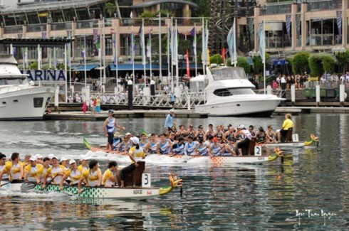 Vào những dịp tết âm lịch của người châu Á, tại Darling Harbour diễn ra lễ hội đua thuyền rồng. Những người ưa thích bộ môn chèo thuyền này lại có dịp quần tụ để khoe tài đọ sức.