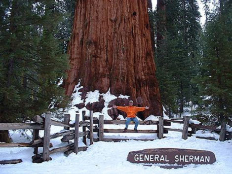 General Sherman