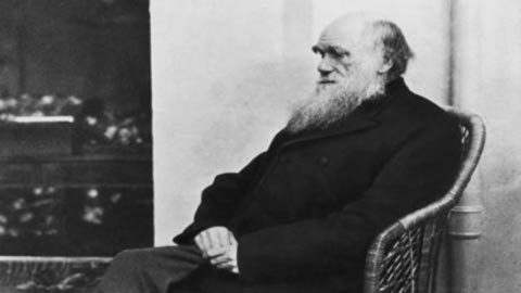 Sự thật về cái chết của nhà bác học Darwin