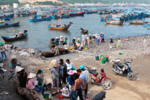 Chuyện nghề cá tại Huyện đảo Lý Sơn