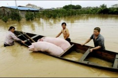 Giá gạo, thịt lợn, rau, gia vị...Trung Quốc tăng vọt sau lũ