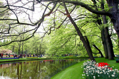 Một góc công viên hoa Keukenhof.