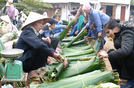 Nhớ lắm những cái Tết quê