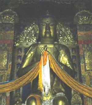 PhatDiLacLabrang1