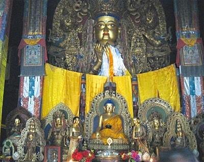 PhatDiLacLabrang2