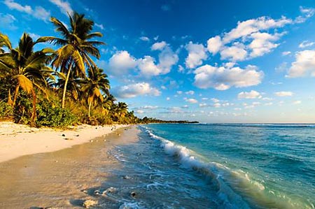 10 thế giới ngầm tuyệt đẹp dưới lòng biển sâu, Du lịch, Du lich bien Thai Lan, the gioi ngam, dao similan, Thai Lan, du lich, du lich viet nam, du lich the gioi, du lich 2012, kinh nghiem du lich, du lich chau au, du lich chau a, kham pha the gioi, dia diem du lich