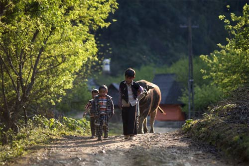 Cao nguyên Mộc Châu &dstrok;ẹp mơ màng, Du lịch, du lich moc chau, moc chau, mua hoa cai, du lich, phong canh, phong canh dep, canh dep the gioi, cao nguyen moc chau