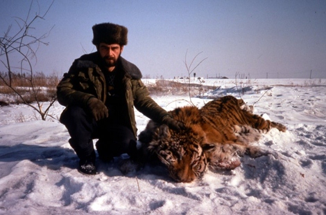 Thợ săn hổ Siberia.