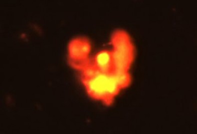 UFO-5