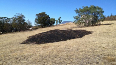 Một vạt cỏ bị thiêu rụi bởi vụ hỏa hoạn tại thị trấn Claremont, bang Tasmania, Australia hôm 2/3. Ảnh: ABC.