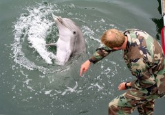 images12