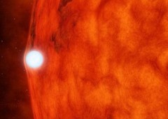 Kích thước của ngôi sao lùn trắng KOI-256 nhỏ hơn rất nhiều lần so với ngôi sao lùn đỏ, song ngôi sao lùn đỏ phải xoay quanh nó. Ảnh: NASA.