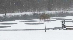 Mysterious pond circles appeared in an upstate New York pond.