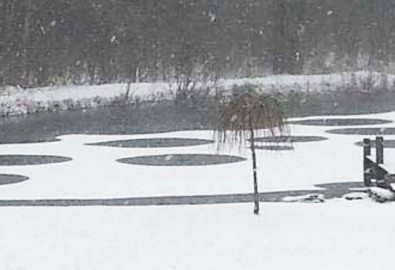 Mysterious pond circles appeared in an upstate New York pond.