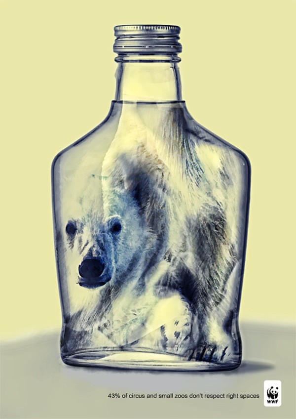 Poster bảo vệ động vật gây ấn tượng mạnh của WWF 15