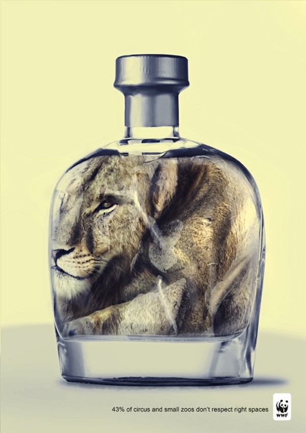 Poster bảo vệ động vật gây ấn tượng mạnh của WWF 17