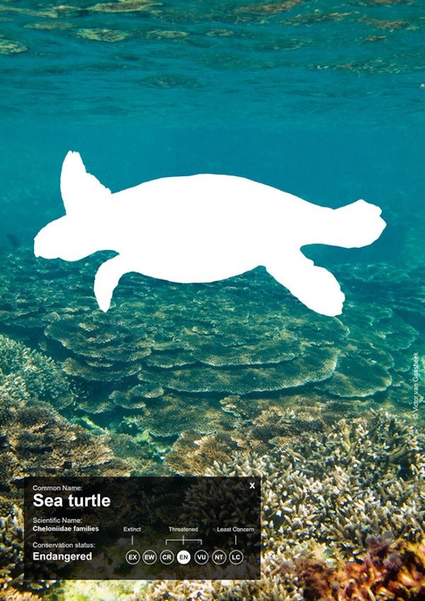 Poster bảo vệ động vật gây ấn tượng mạnh của WWF 8