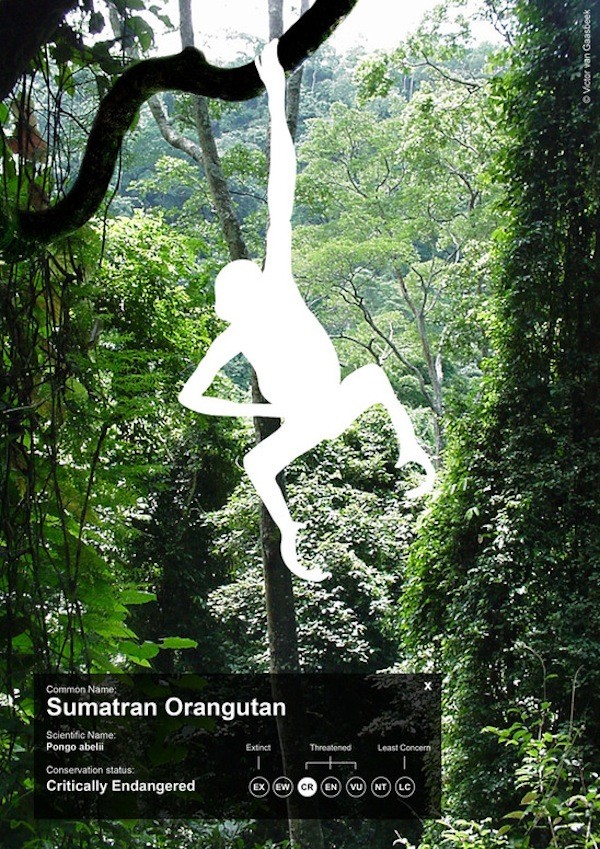 Poster bảo vệ động vật gây ấn tượng mạnh của WWF 10 Poster bảo vệ động vật gây ấn tượng mạnh của WWF 10