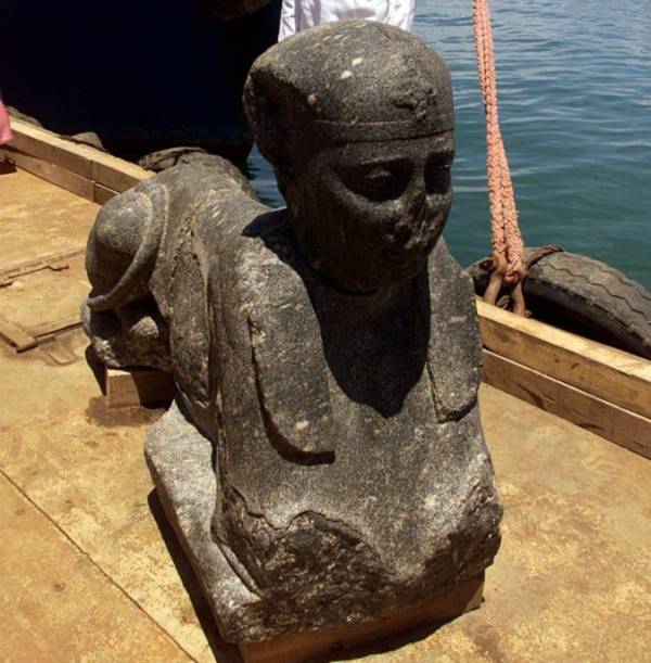 Tái tạo Tái tạo