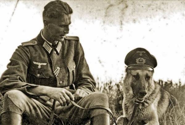 Điều ít được biết về đội quân chó biết nói của Hitler 1 Điều ít được biết về đội quân chó biết nói của Hitler 1