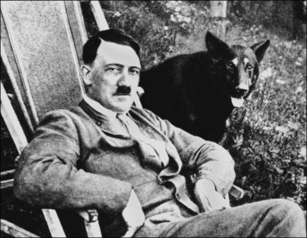 Điều ít được biết về đội quân chó biết nói của Hitler 3 Điều ít được biết về đội quân chó biết nói của Hitler 3