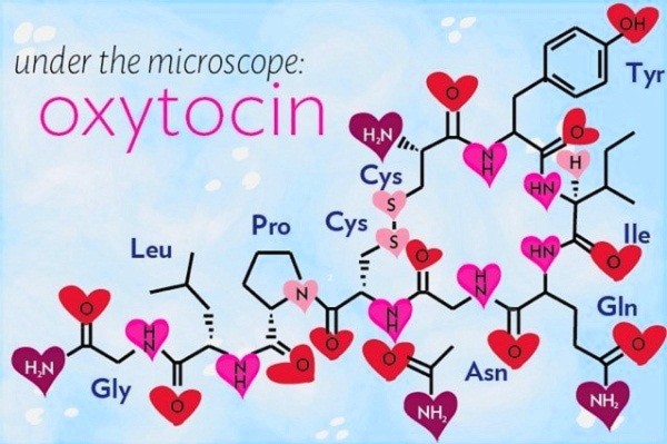Mổ xẻ tình mẹ dưới con mắt khoa học 2 Mổ xẻ tình mẹ dưới con mắt khoa học 2