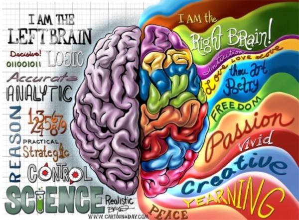 Phát hiện mới về đặc điểm của người có chỉ số IQ cao 2 Phát hiện mới về đặc điểm của người có chỉ số IQ cao 2