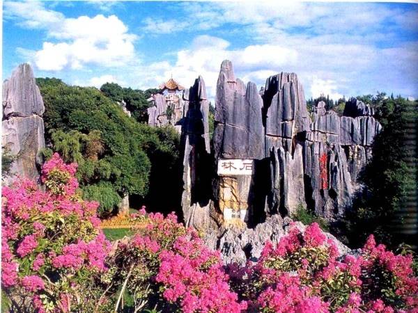 Thăm khu rừng đá khổng lồ được mệnh danh kỳ quan 11 Thăm khu rừng đá khổng lồ được mệnh danh kỳ quan 11