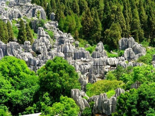 Thăm khu rừng đá khổng lồ được mệnh danh kỳ quan 2 Thăm khu rừng đá khổng lồ được mệnh danh kỳ quan 2