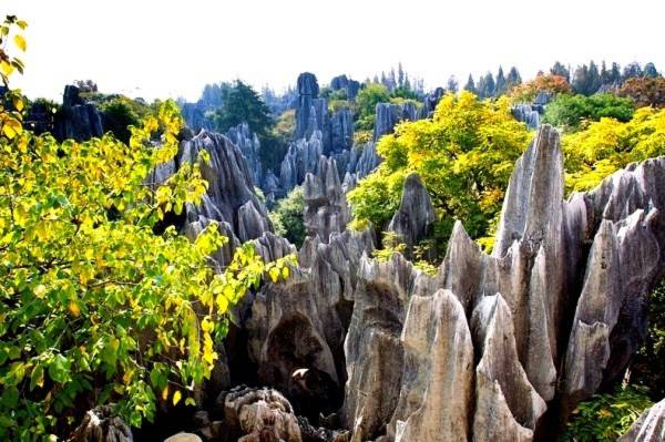 Thăm khu rừng đá khổng lồ được mệnh danh kỳ quan 7 Thăm khu rừng đá khổng lồ được mệnh danh kỳ quan 7