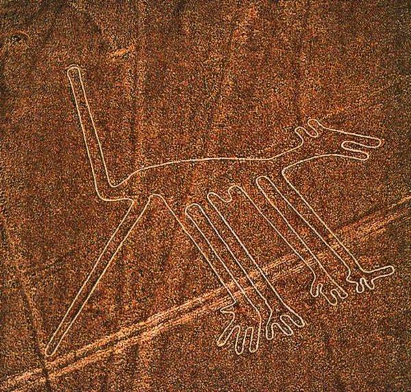 Bí ẩn kỳ quan cổ đại: Hình vẽ khổng lồ giữa sa mạc 8