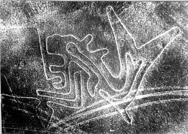Bí ẩn kỳ quan cổ đại: Hình vẽ khổng lồ giữa sa mạc 9
