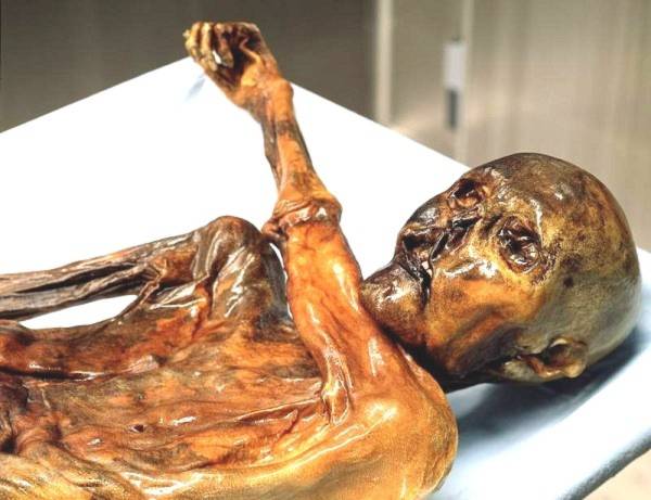 Hé lộ cái chết của xác ướp người băng 5.300 tuổi  2