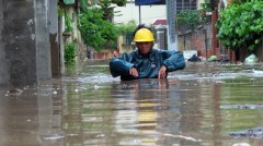 lu lut hai phong 1