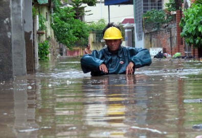 lu lut hai phong 1
