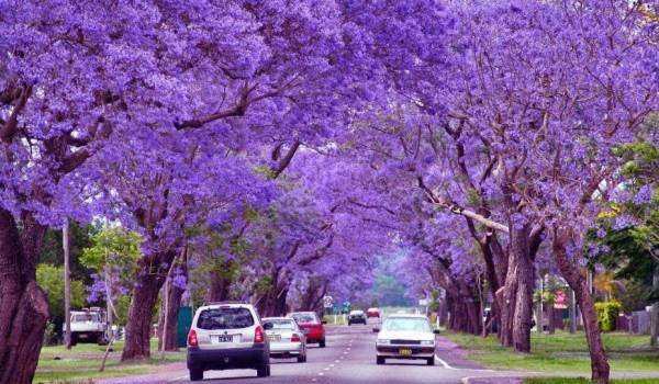 Những con đường tình yêu đẹp ngỡ ngàng trên thế giới 14 Những con đường tình yêu đẹp ngỡ ngàng trên thế giới 14